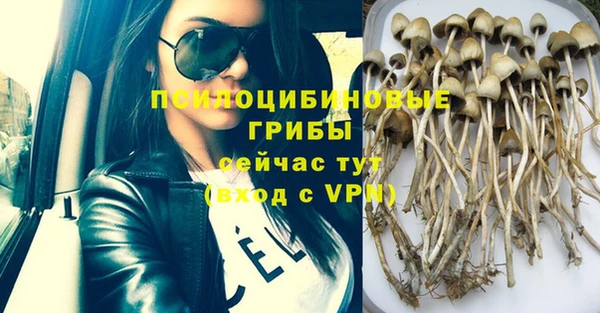 прущая мука Арсеньев