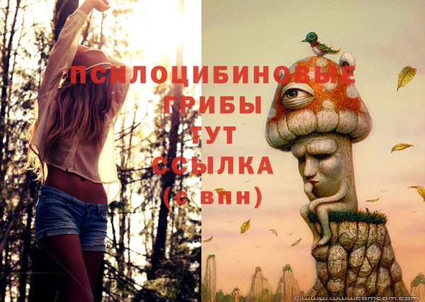 прущая мука Арсеньев