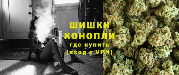 индика Лиски